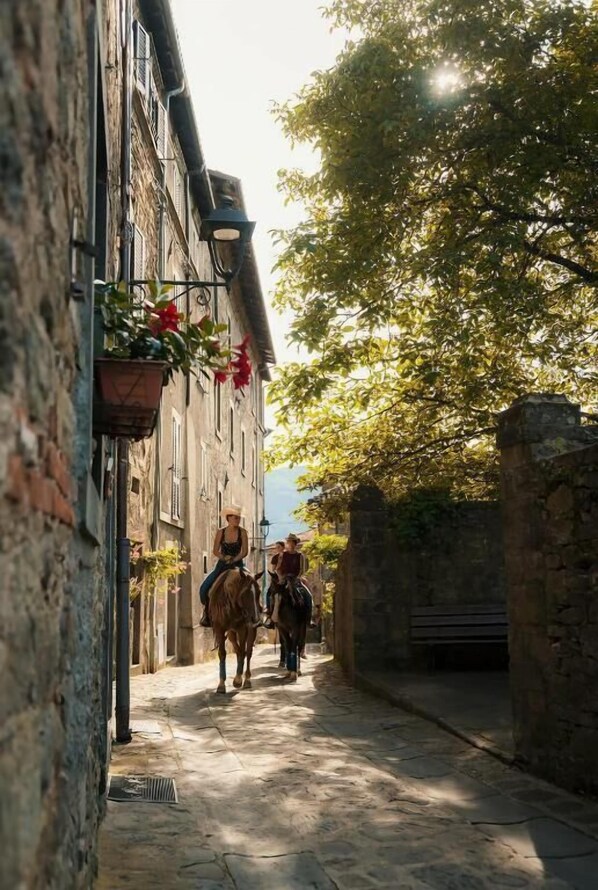 A narrow street with stone buildings, a horse, and a person riding the horse. - Hotel Ristorante La Lanterna (Castelnuovo di Garfagnana)