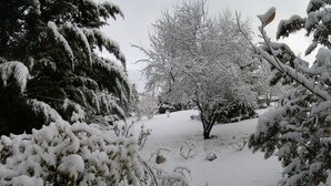 Garden - Residence Casprini da Omero (Greve in Chianti)