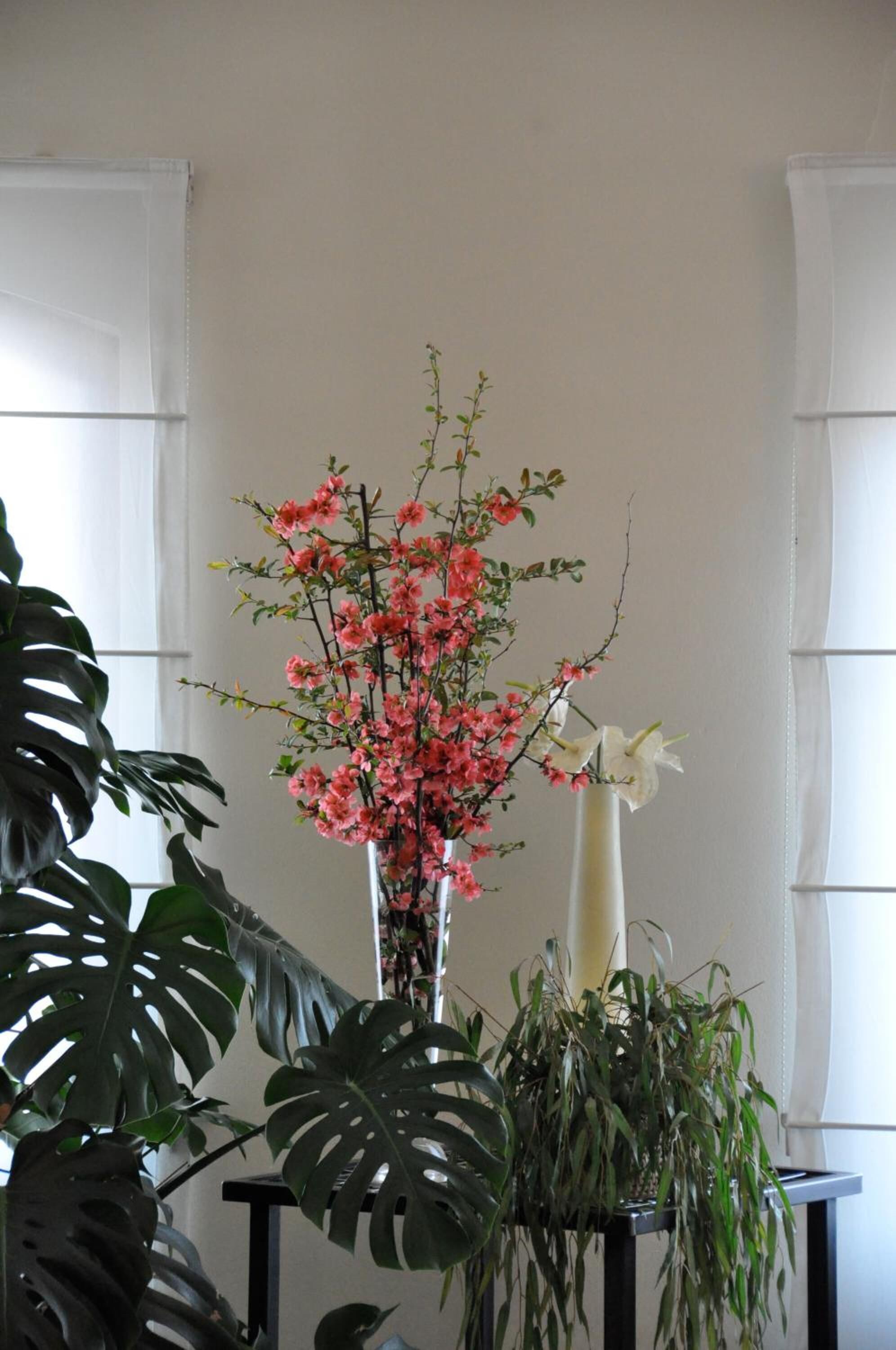 Ein Zimmer mit großem Fenster, einer Topfpflanze mit rosafarbenen Blüten und einer hohen weißen Vase.