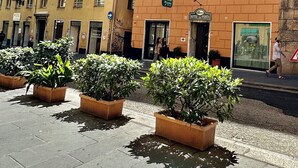 A multi-story hotel with a classic facade, green shutters, and a sign indicating it is a hotel. - Albergo della Posta (Genoa)