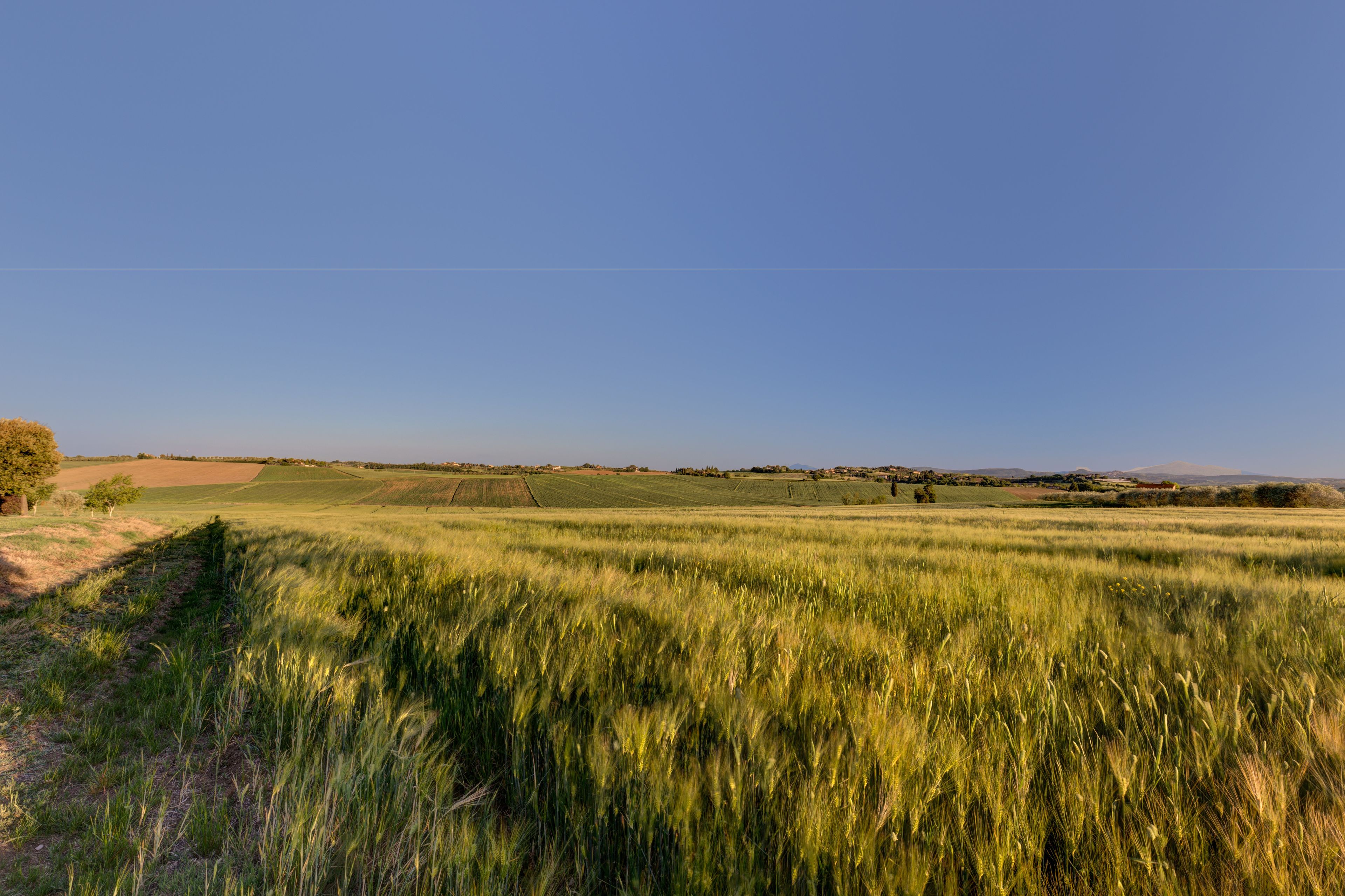 Un extenso campo con cielo despejado.