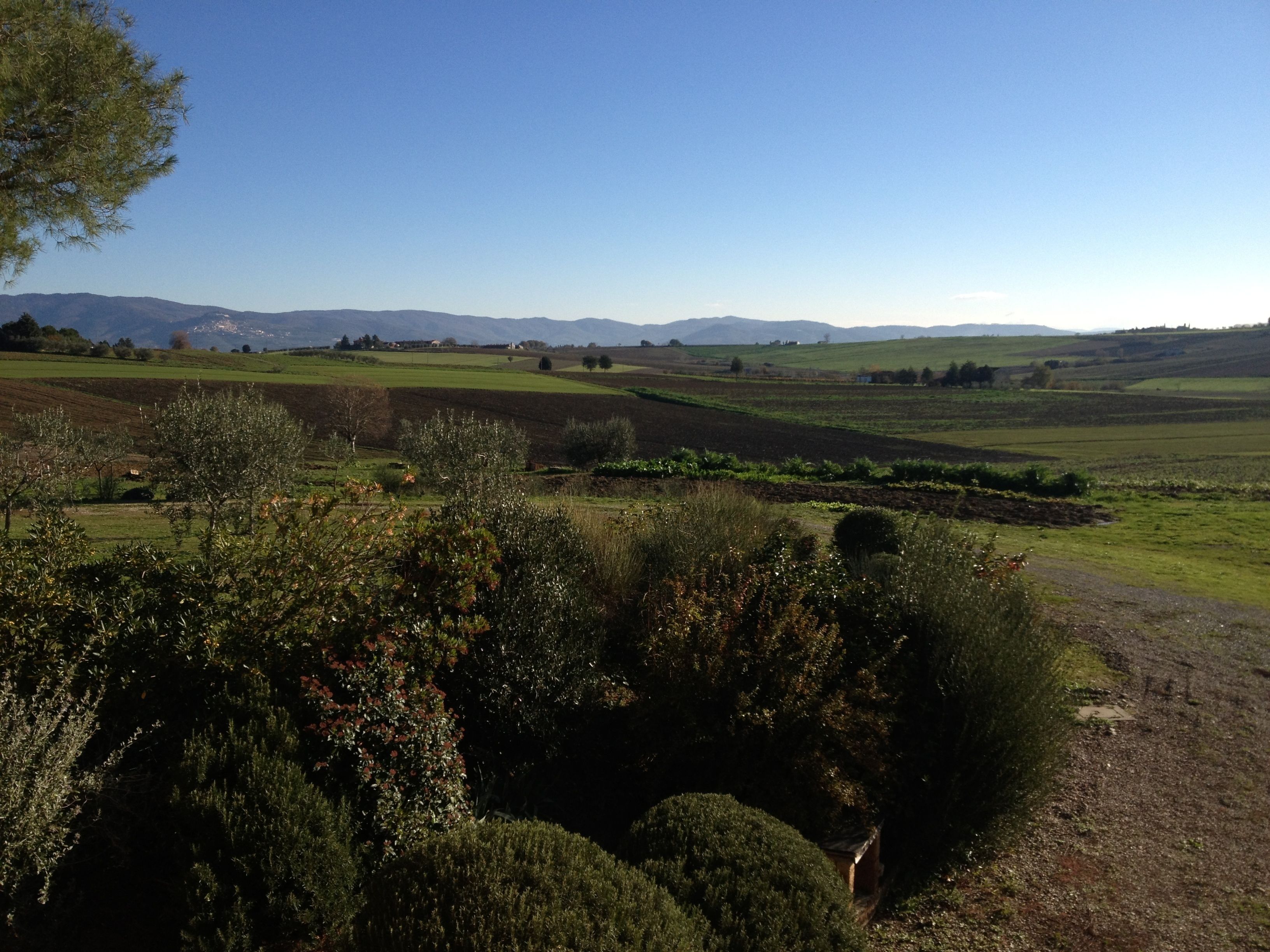 A rural landscape with rolling hills, fields, and scattered trees.