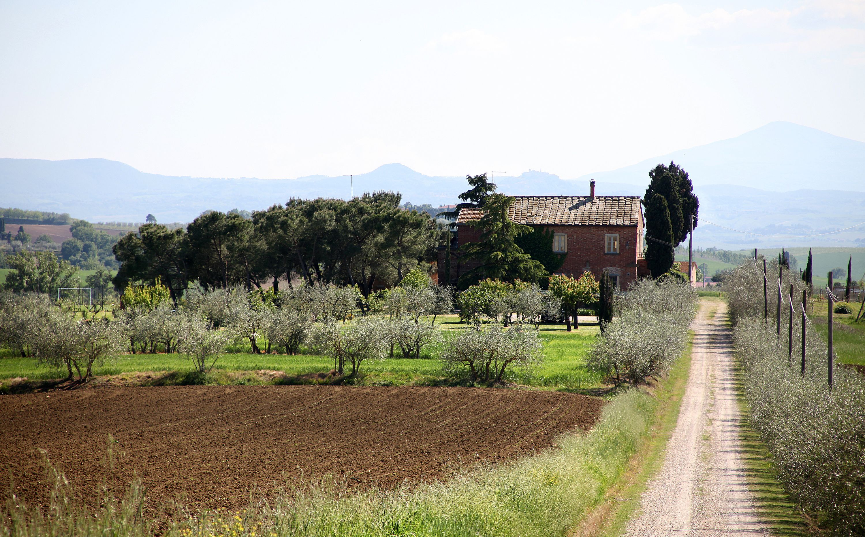 Un paisaje rural con una casa de ladrillo, un camino de tierra y campos.