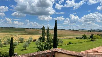 A view from a balcony with a brick wall, overlooking a rural landscape with fields and trees under a partly cloudy sky.