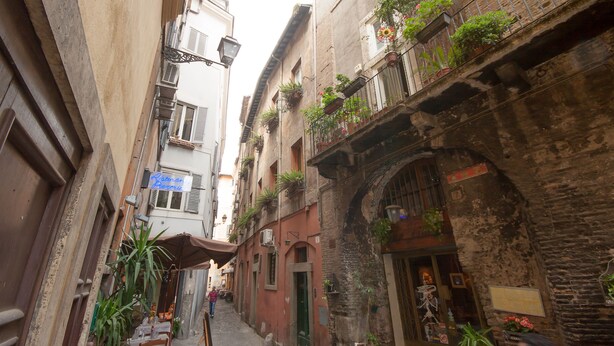 Exterior - Il Glicine - Navona (Rome)