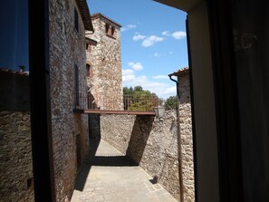 Property grounds - Elio Pistolesi (Radda in Chianti)