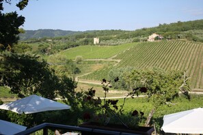 Vue depuis le balcon