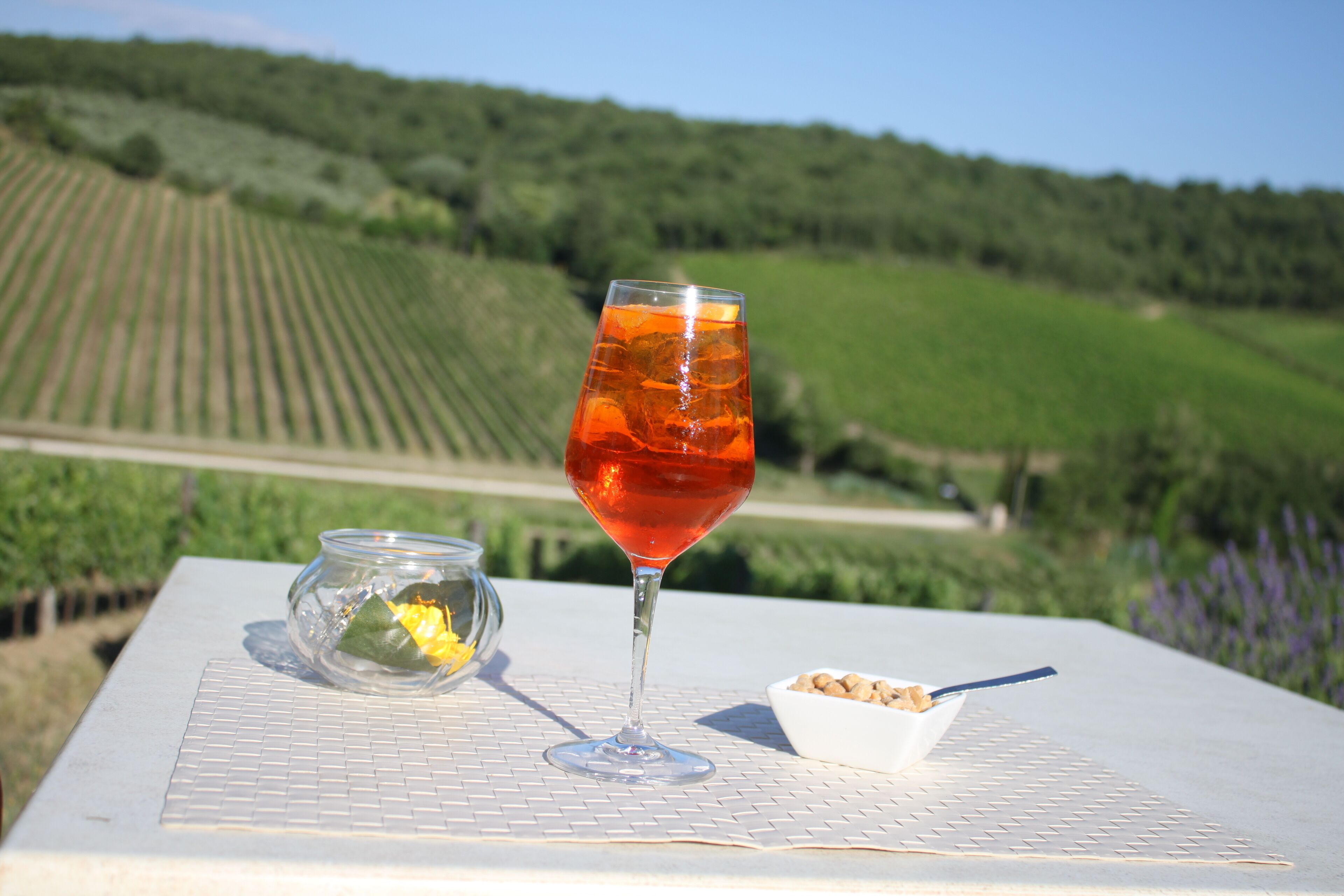 breakfast, lunch, dinner served; garden views