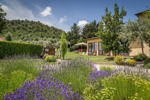 Garden - Country House Nonna Rana (Cannara)
