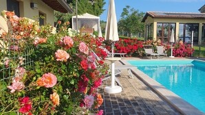A swimming pool with a tiled deck, surrounded by lush rose bushes and a covered seating area with chairs and umbrellas.