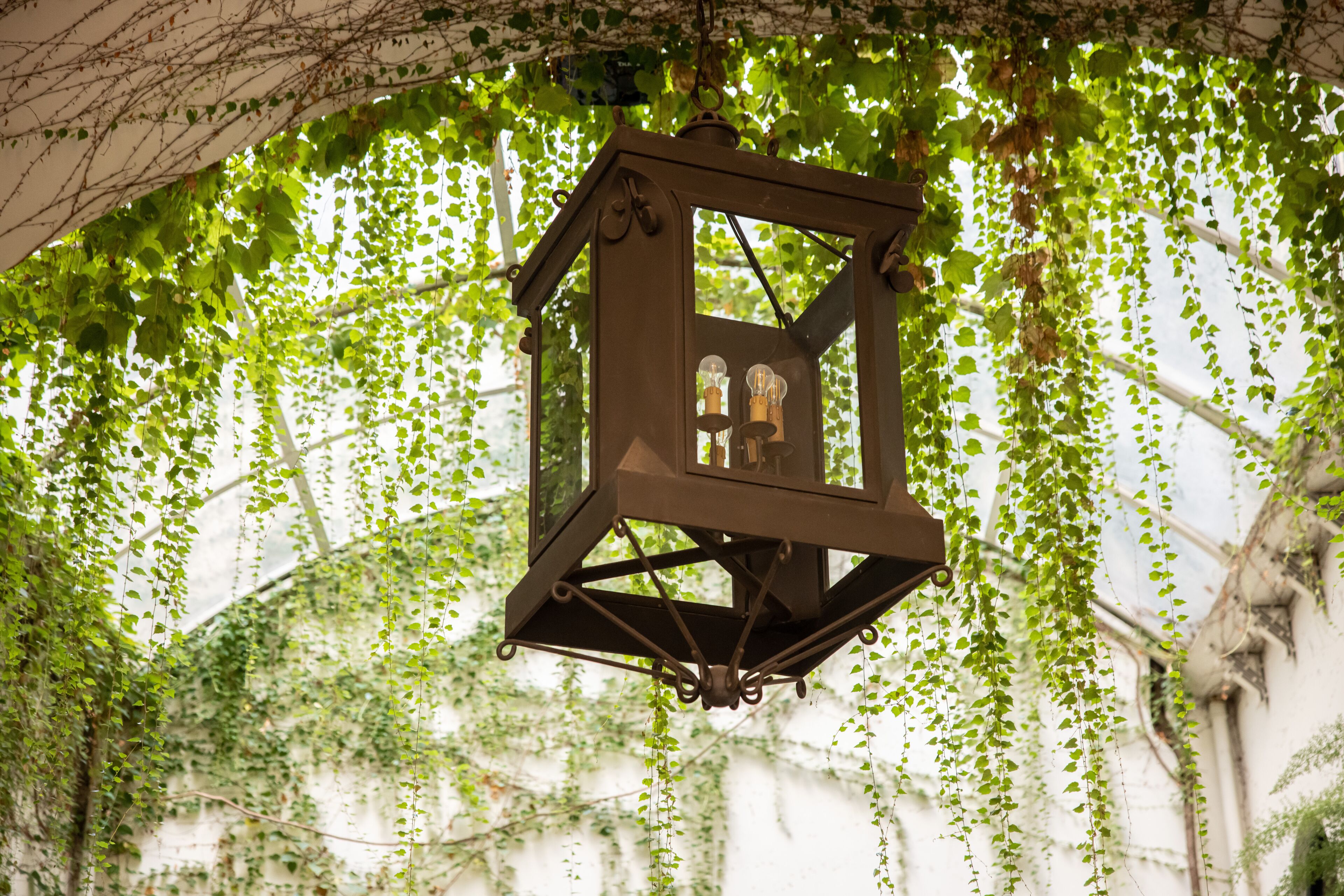 Foto - Palazzo Marziale