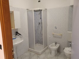 Shower, hair dryer, bidet, towels