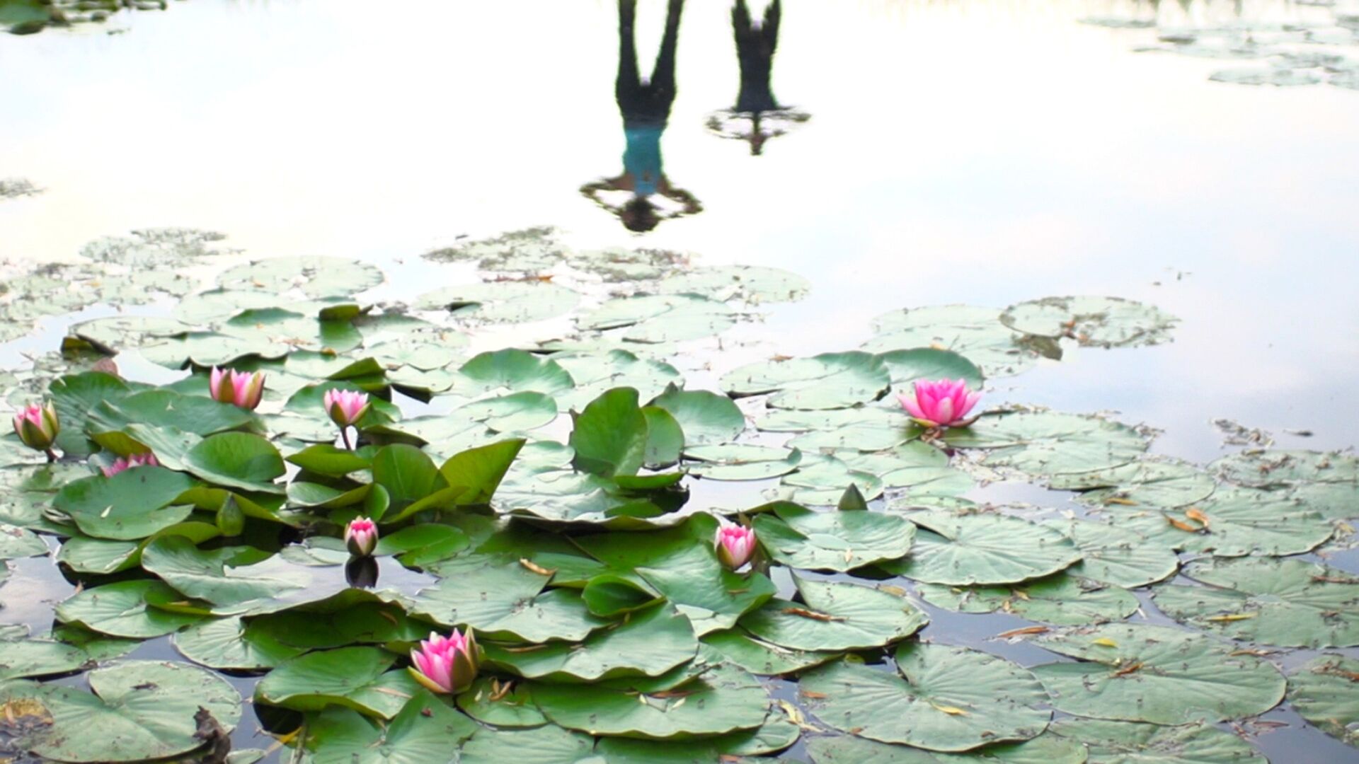 Foto - Ancora Sport Resort Hotel