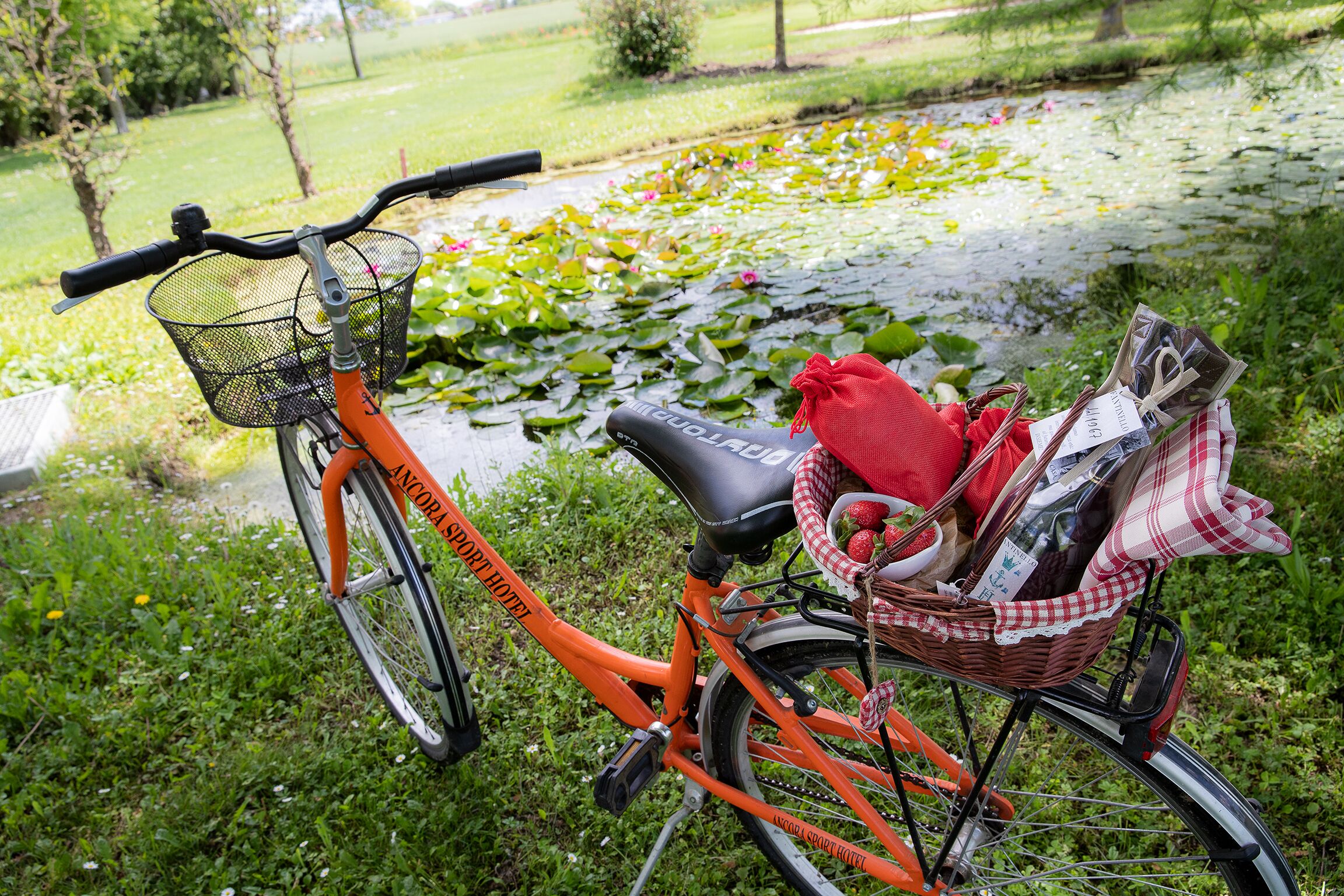 Foto - Ancora Sport Resort Hotel