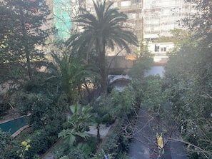 Vista al jardín