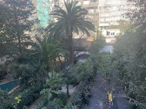 Garden view