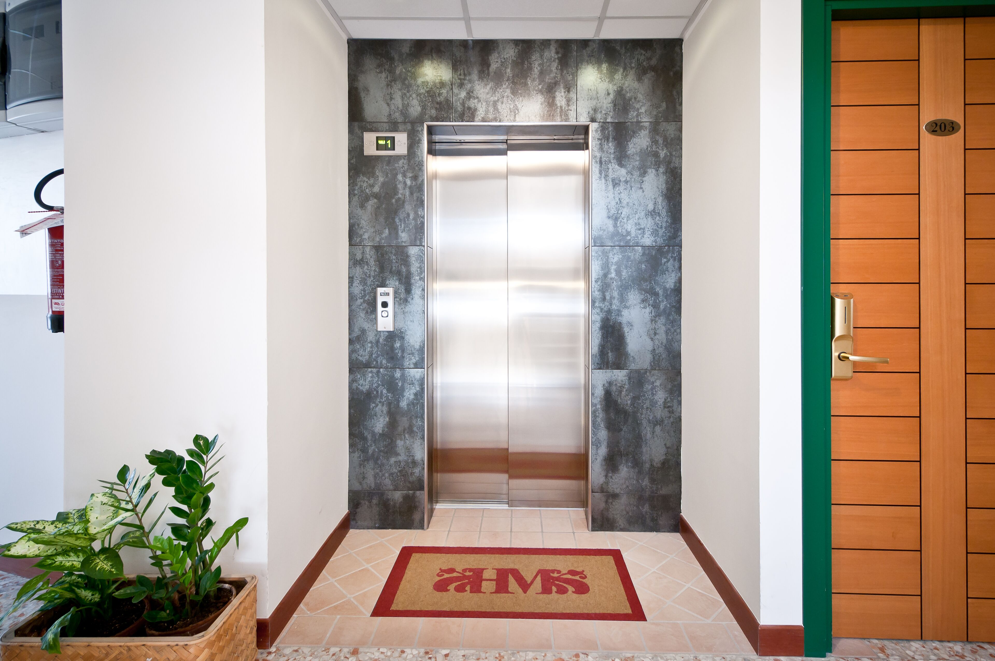 Een lift met een metalen afwerking, een groene deur met een messing handgreep, en een rode deurmat met een logo.