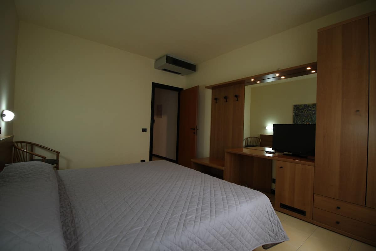 A bedroom with a bed, wooden wardrobe, a TV, and a mirror.