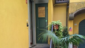 Una escalera que lleva a una puerta verde, con una planta en maceta a la derecha.