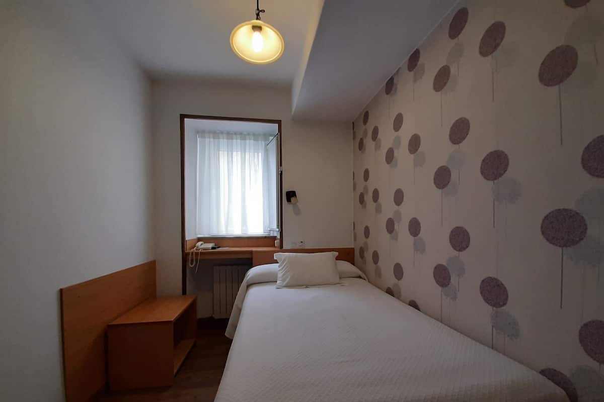 Standard Single Room | 1 bedroom, down comforters, desk, free WiFi