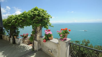 A balcony with potted flowers and a view of the sea.