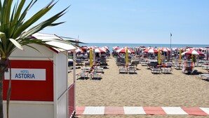 Una playa con filas de tumbonas y sombrillas, una palmera y un edificio con la leyenda 'HOTEL ASTORIA'.