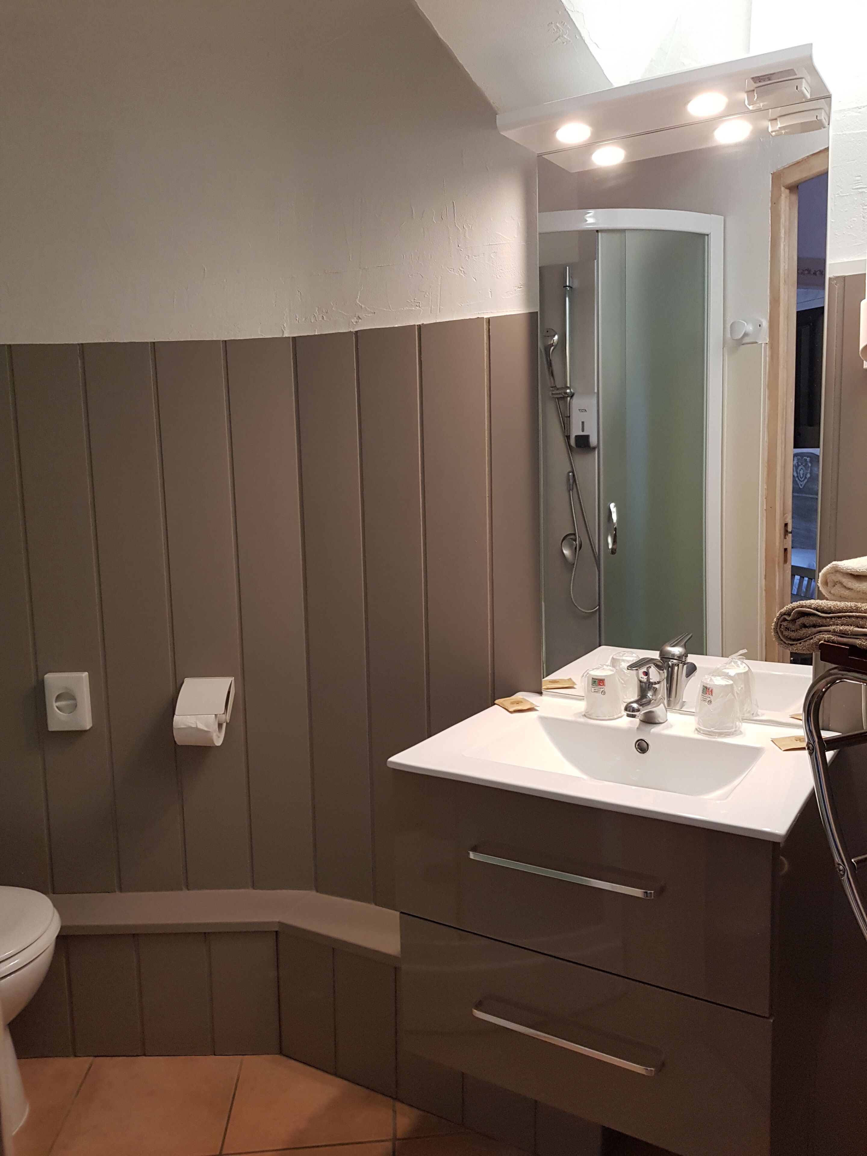 comfort room | bathroom | shower, rainfall showerhead, hair dryer, towels