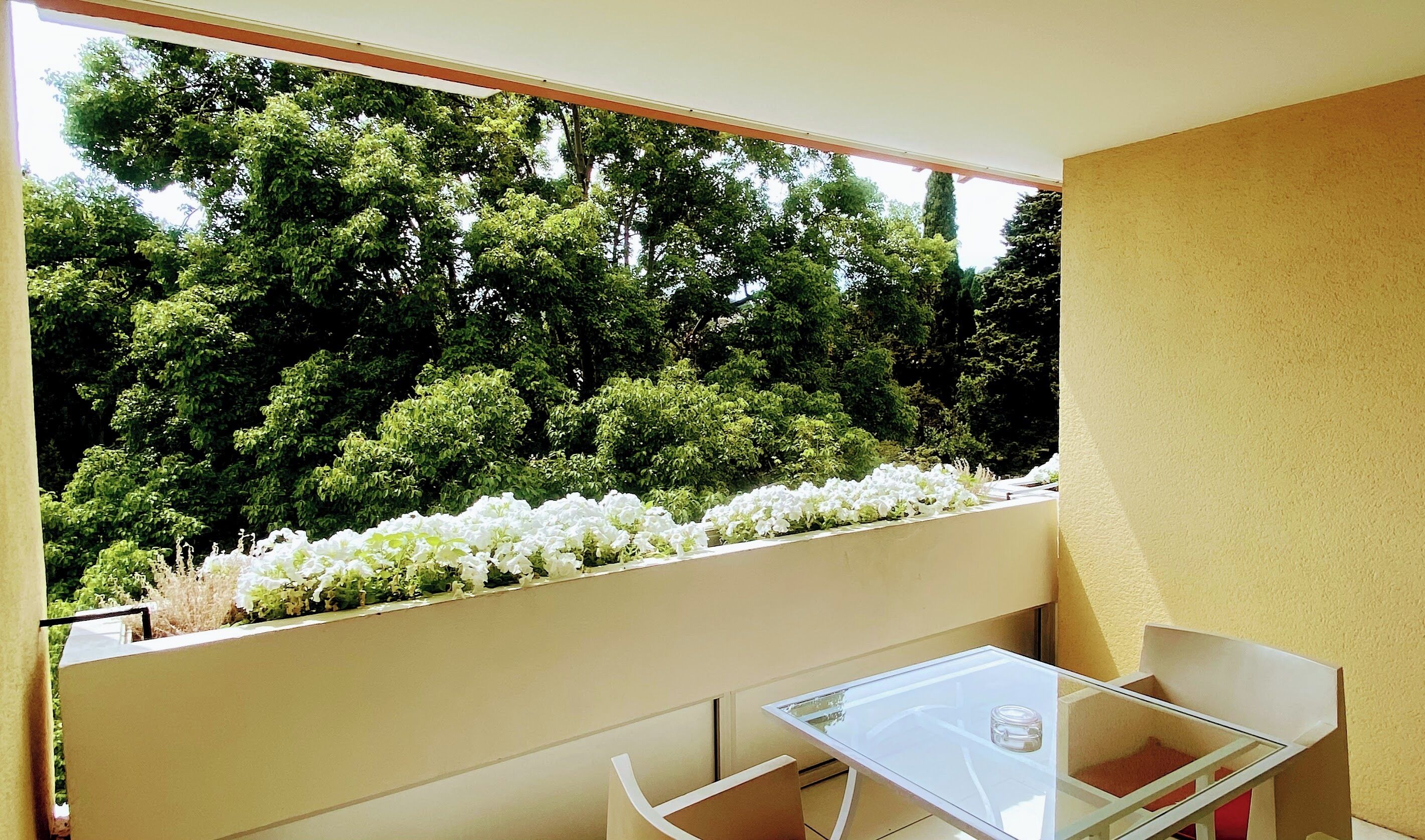Superior Room, 1 King Bed | Terrace/patio