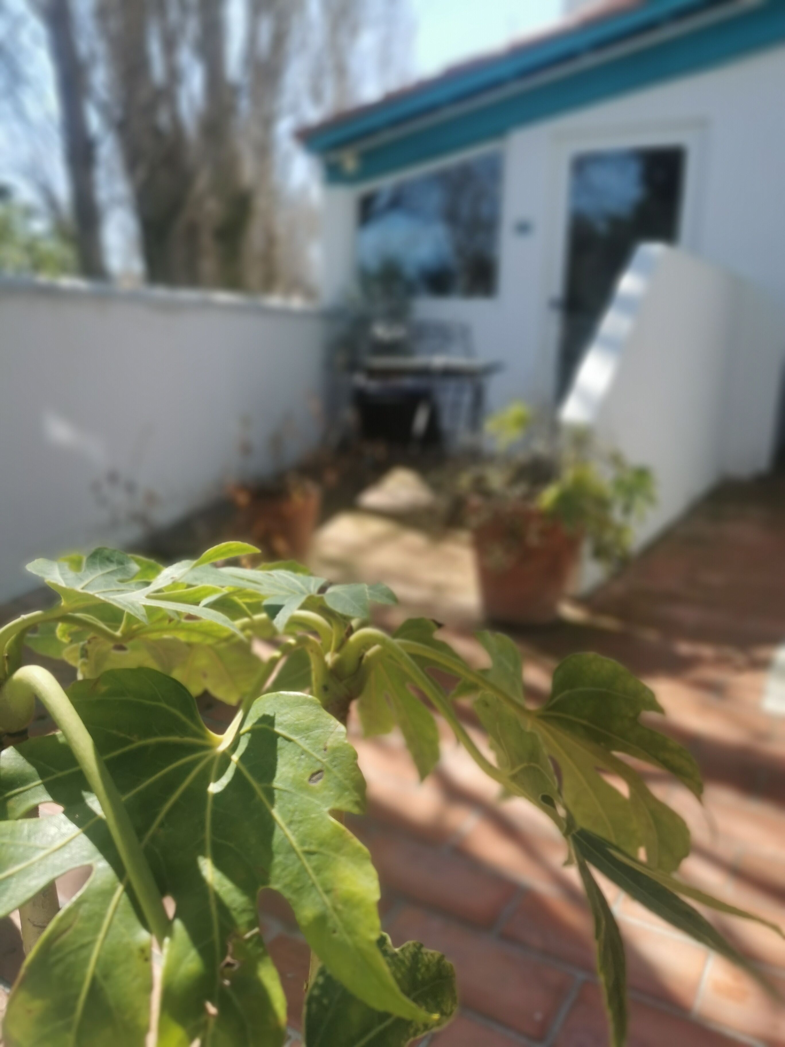 double room | terrace/patio