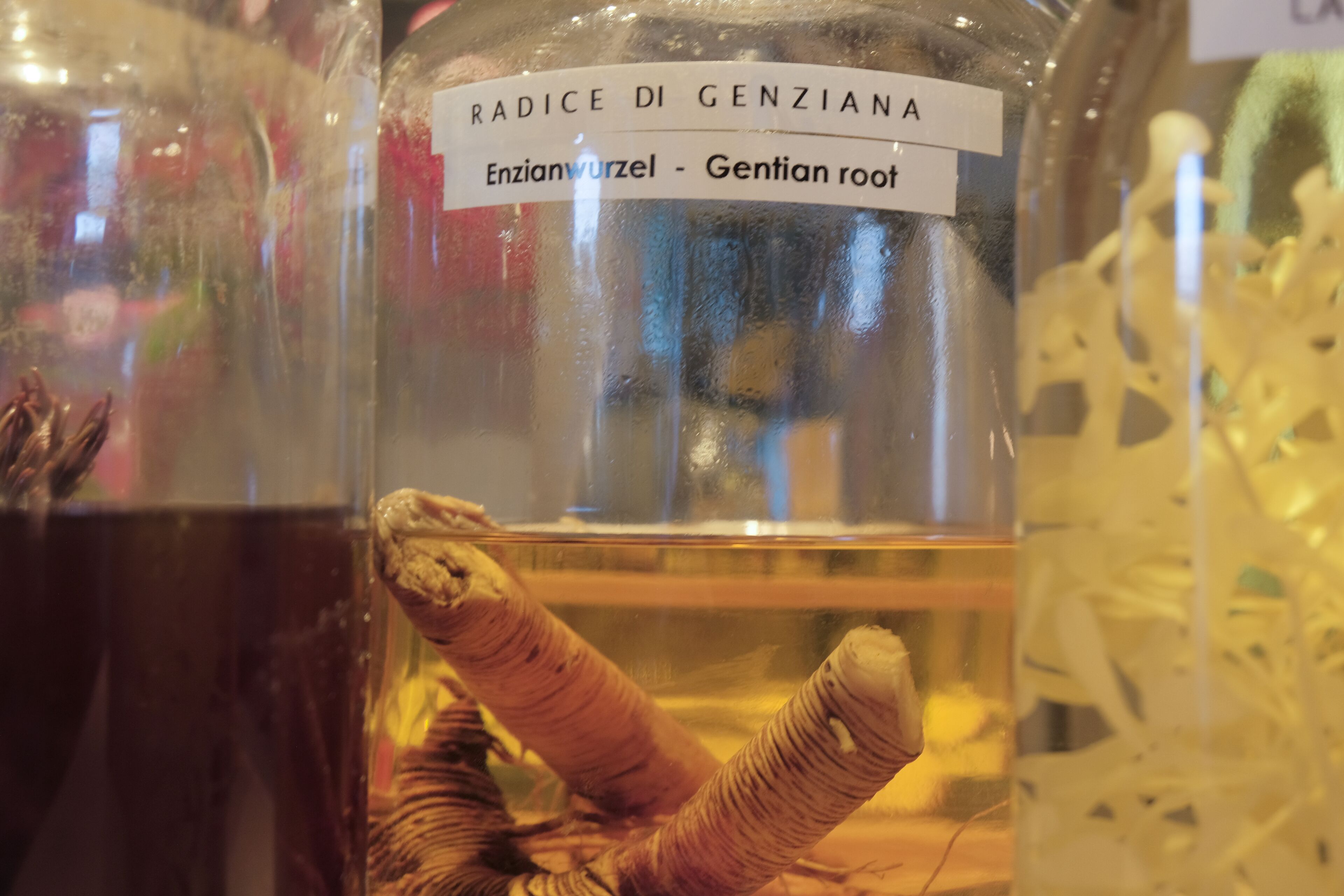 Ein Glasgefäß mit dem Aufdruck 'Radice Di Genziana', darin eine Wurzelgemüse.