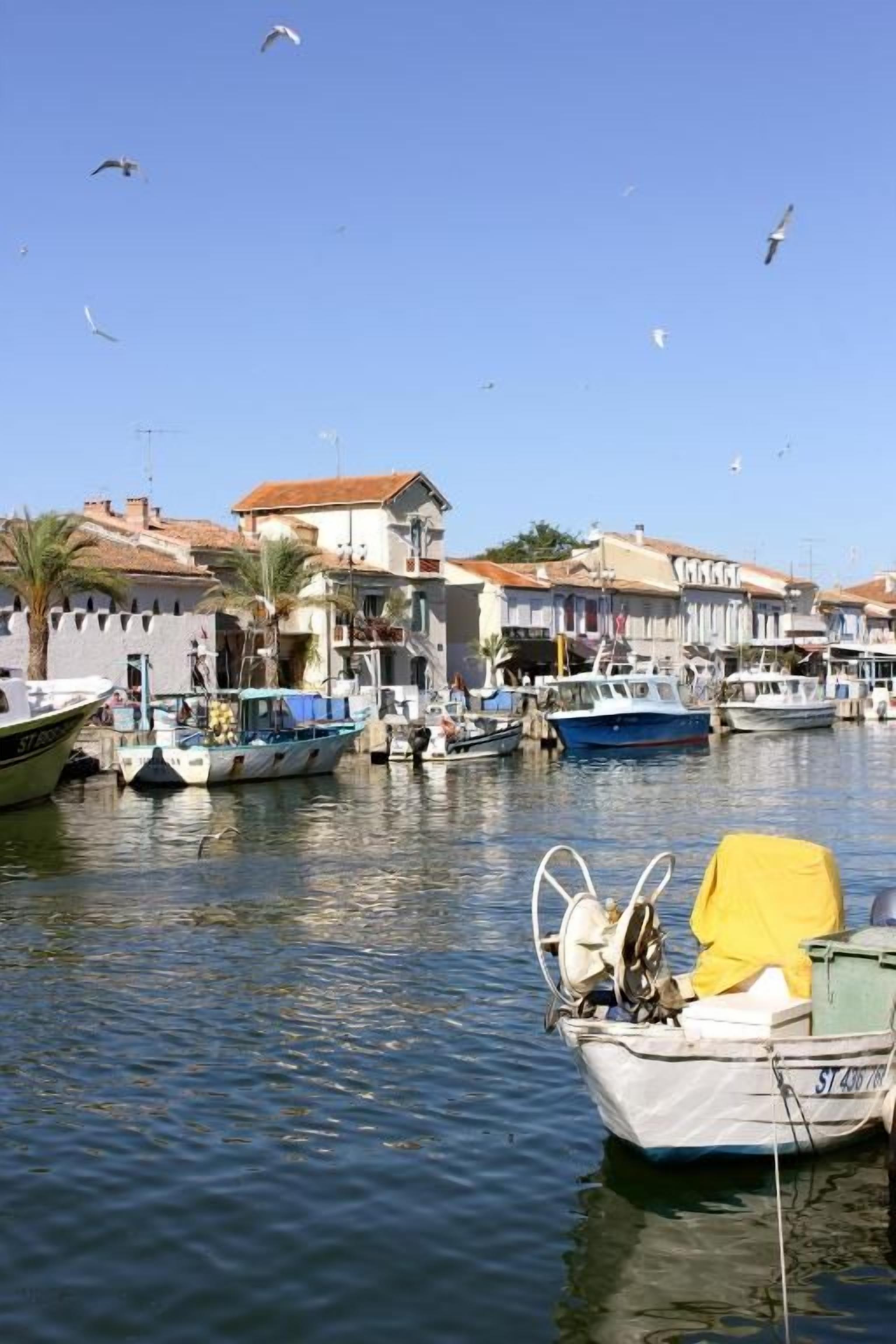 Photo - Hôtel Restaurant Splendid Camargue