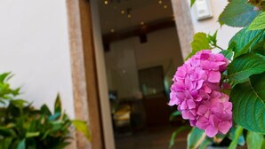 The entrance of Hotel & Restaurant Romanda with a visible door and potted plants. - Romanda (Levico Terme)