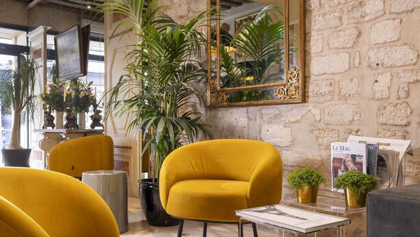 A room with yellow armchairs, a large potted plant, a glass coffee table, and a stone wall. - Le Regent (Paris)