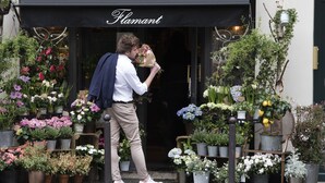 A storefront with a variety of potted plants and flowers displayed outside. - Le Regent (Paris)