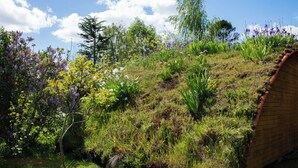 A hillside garden with various plants and a wooden structure. - Hôtel Rose (Beauvoir)
