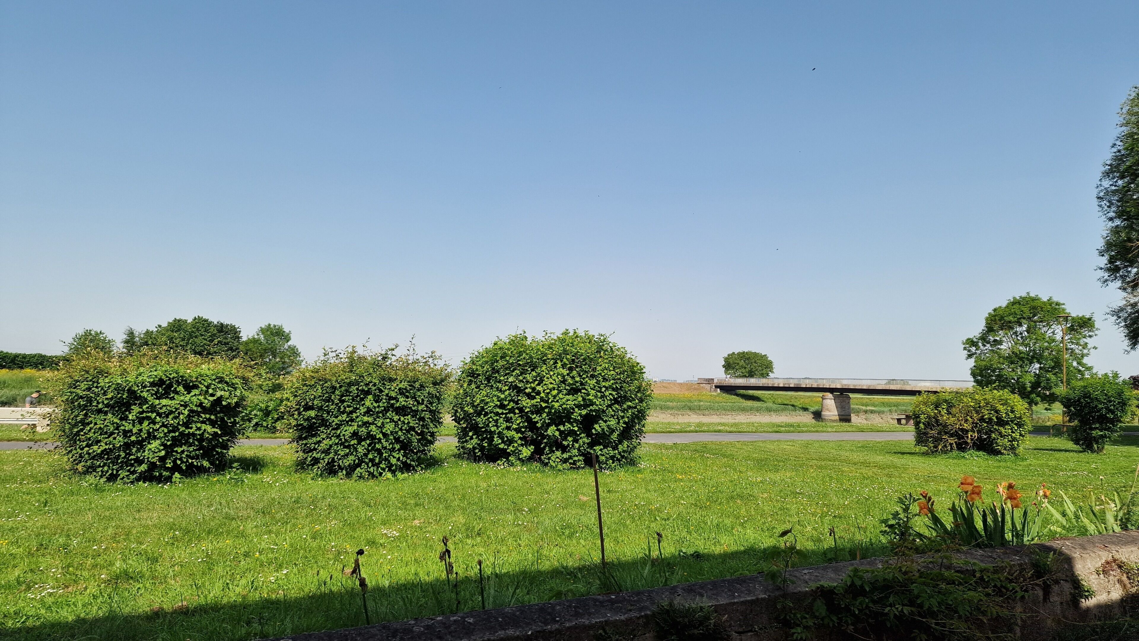 Un champ verdoyant avec un pont, des arbres et un ciel dégagé.