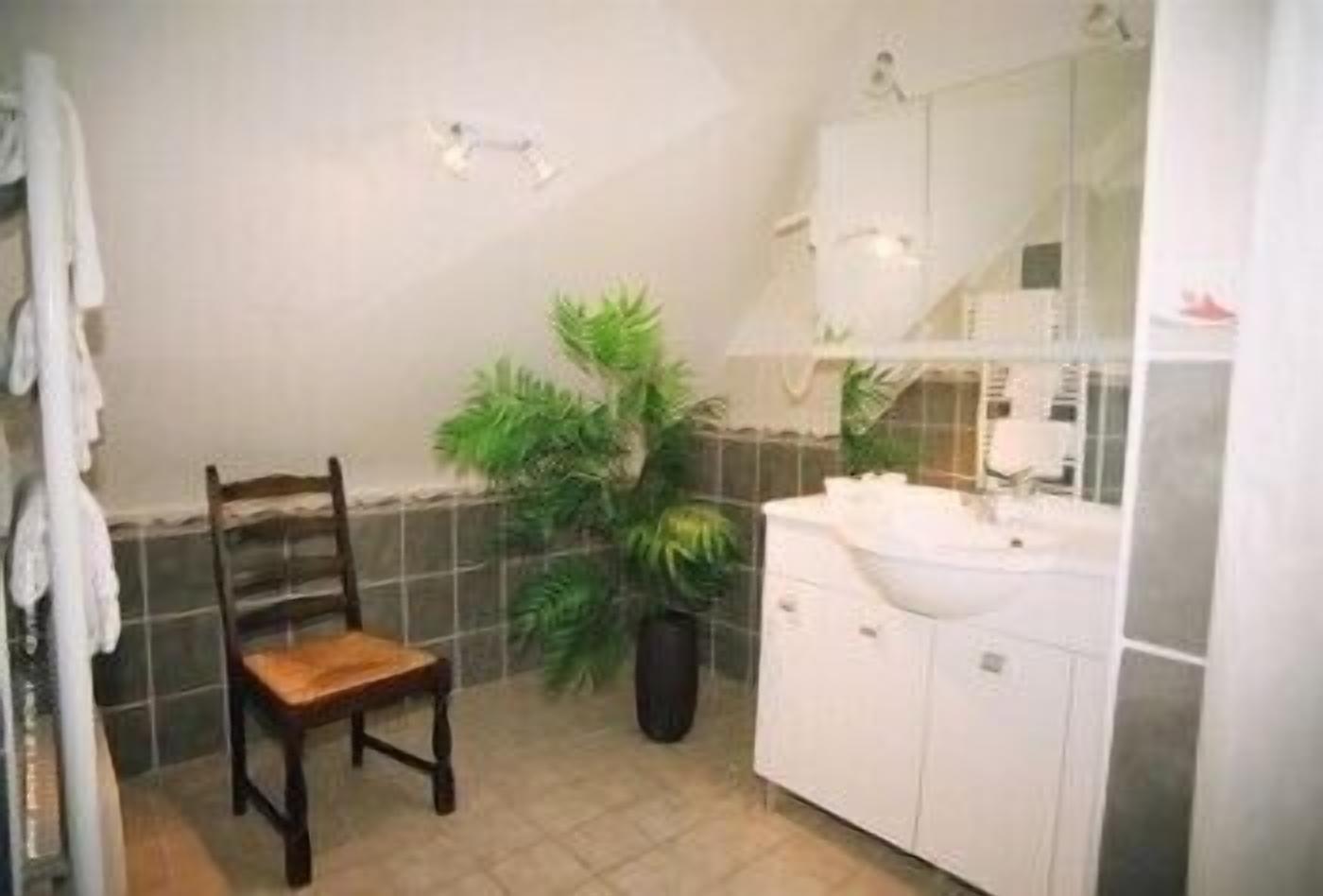 comfort double room | bathroom | shower, rainfall showerhead, free toiletries, hair dryer