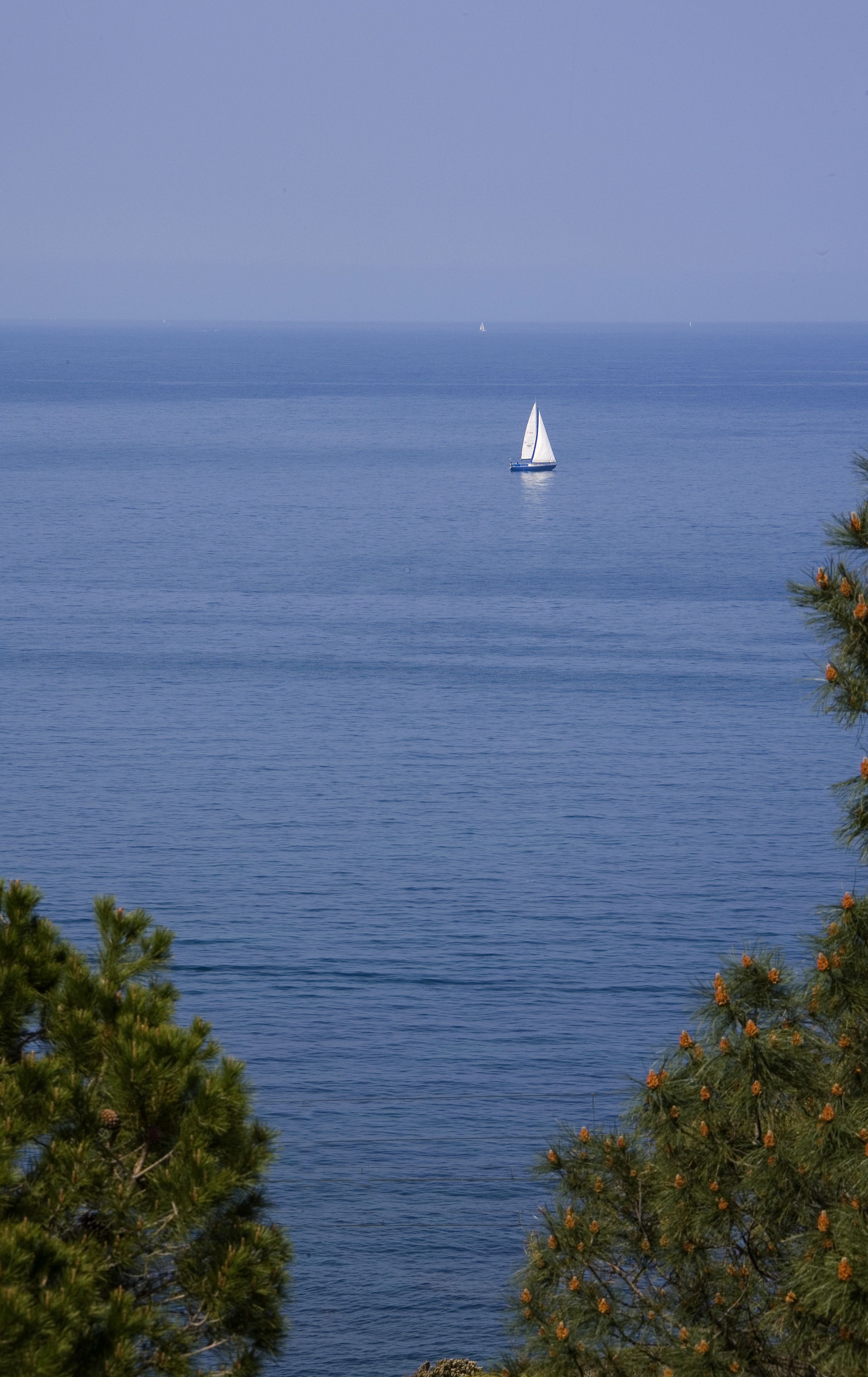 Photo - Hôtel & Spa Les Mouettes