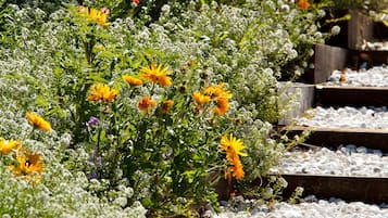 A garden with various flowers and plants arranged on wooden steps.