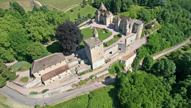 Vista aérea de un castillo histórico rodeado de abundante vegetación y campos.