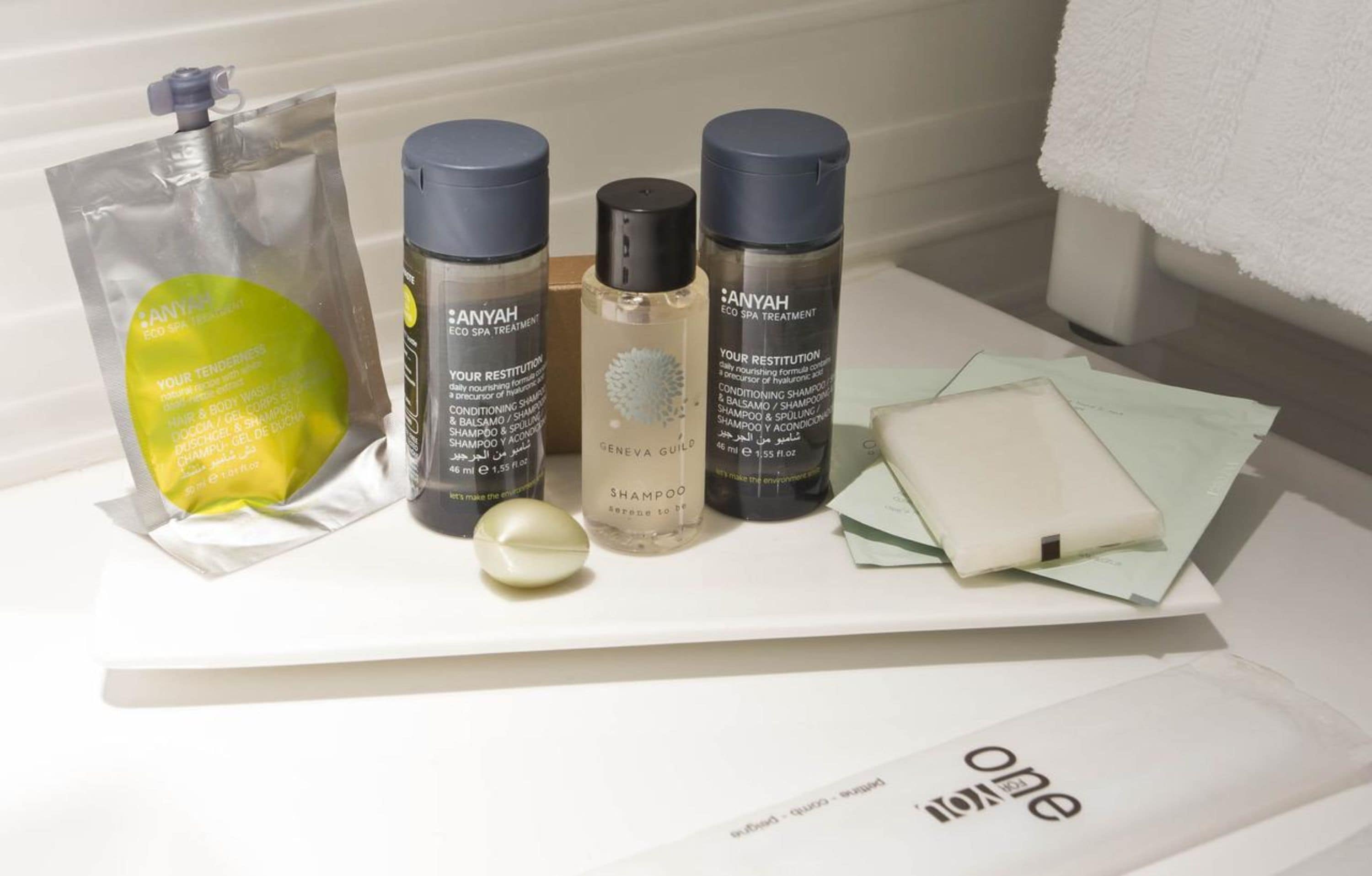 Snyrtivörur án endurgjalds, hárblásari, handklæði