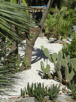 Property grounds - Hôtel Paradis (Bormes-Les-Mimosas)
