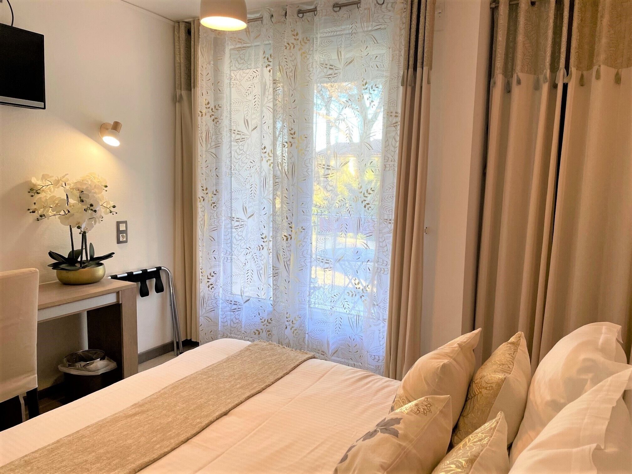 A hotel room with a bed, a bedside table with a lamp, a plant, and a window with curtains.