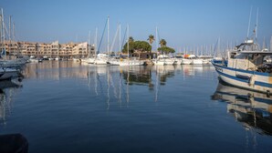 Un port de plaisance où sont amarrés de nombreux bateaux, un bâtiment orné d’arches et, au fond, des palmiers.