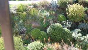 Een tuin met diverse planten en struiken, een pad en een omheining.
