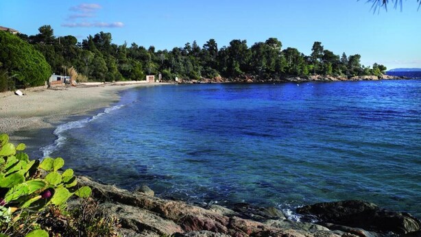 Een kustlandschap met een strand, helderblauw water en weelderige begroeiing.
