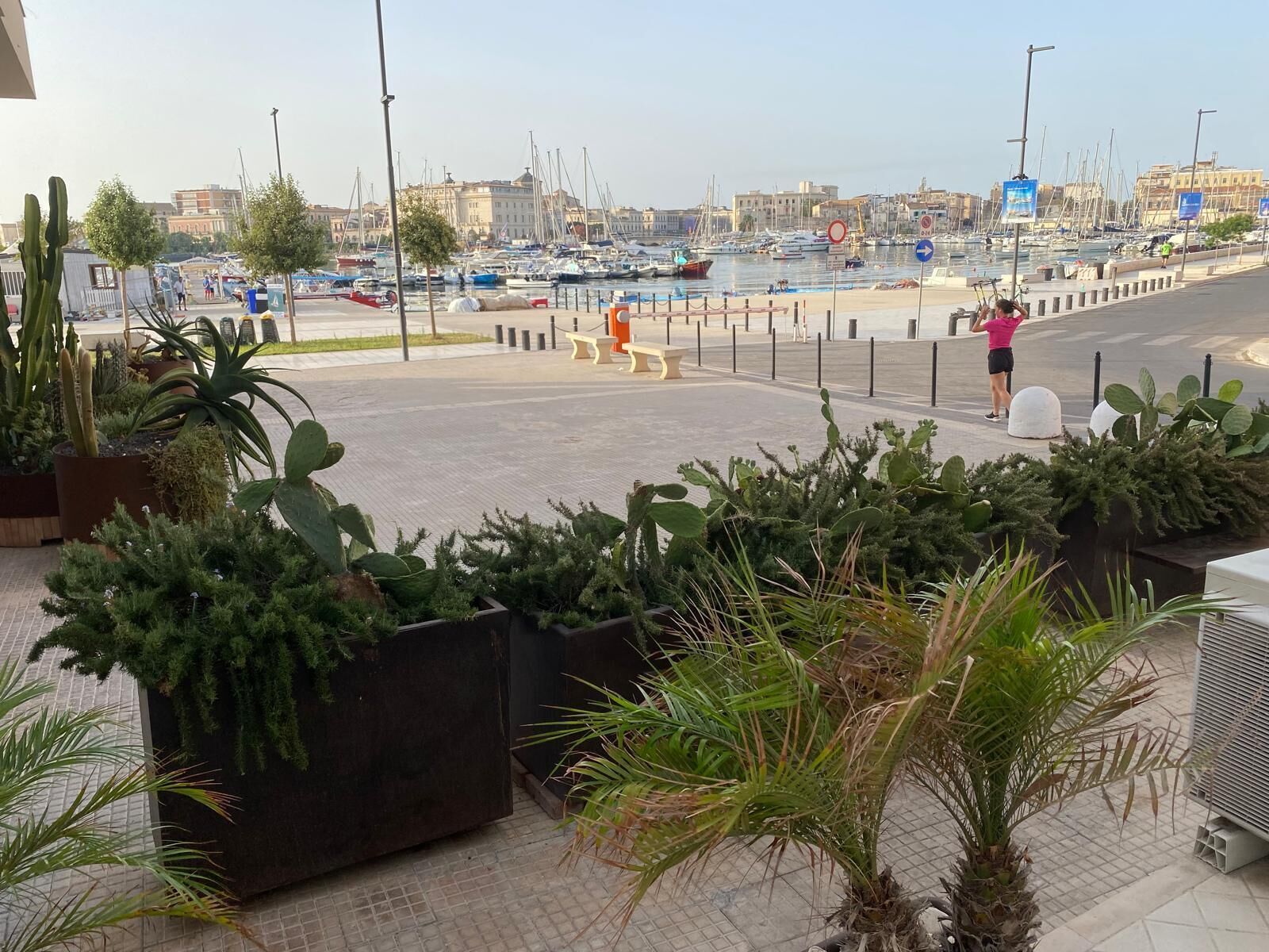 Marina com barcos, calçada para pedestres e plantas em vasos.
