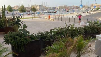 Marina com barcos, calçada para pedestres e plantas em vasos.