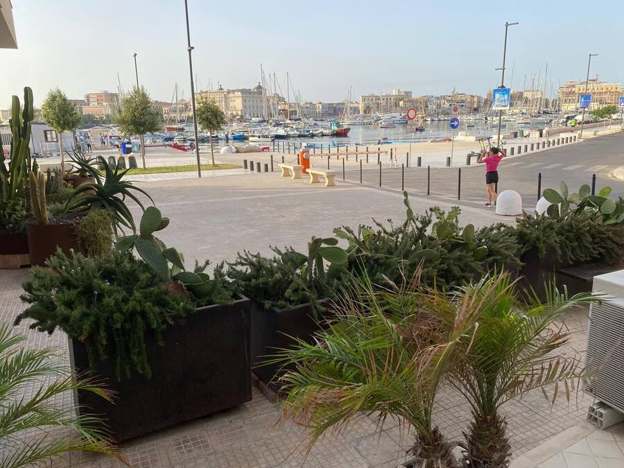 Marina com barcos, calçada para pedestres e plantas em vasos.