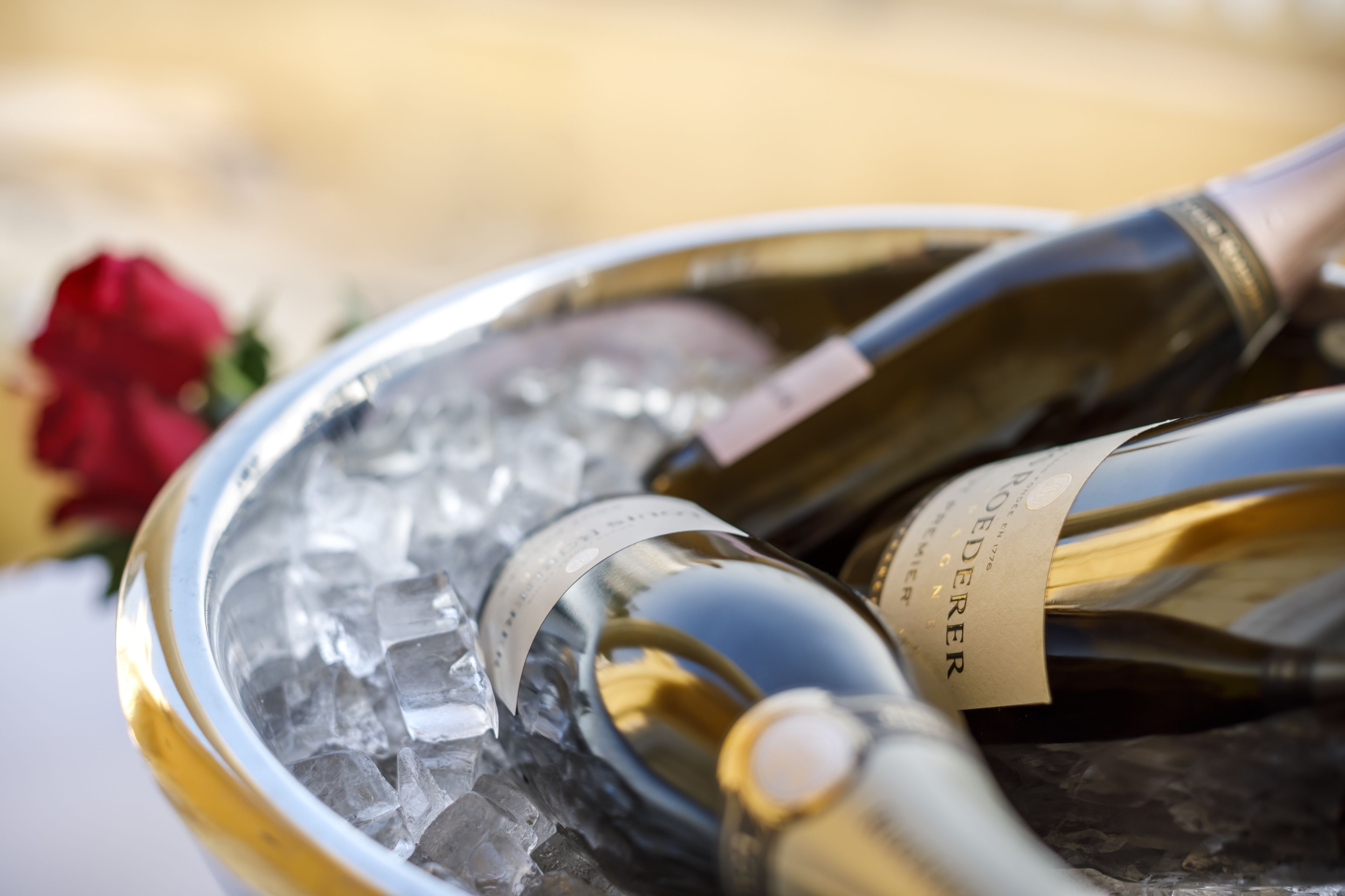 A close-up of a wine bottle with a label, resting on ice.
